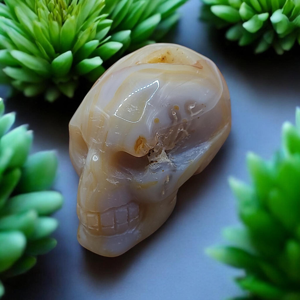 Flower Agate Crystal Skull Carving  Polished Unique Collector Piece  Witchy Home Decor