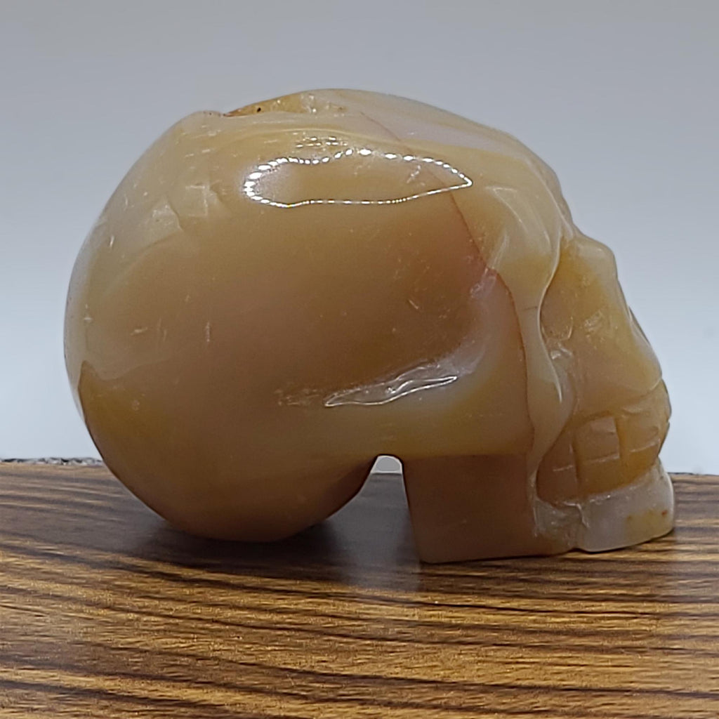 Flower Agate Crystal Skull Carving  Polished Unique Collector Piece  Witchy Home Decor