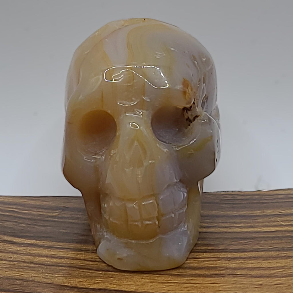 Flower Agate Crystal Skull Carving  Polished Unique Collector Piece  Witchy Home Decor