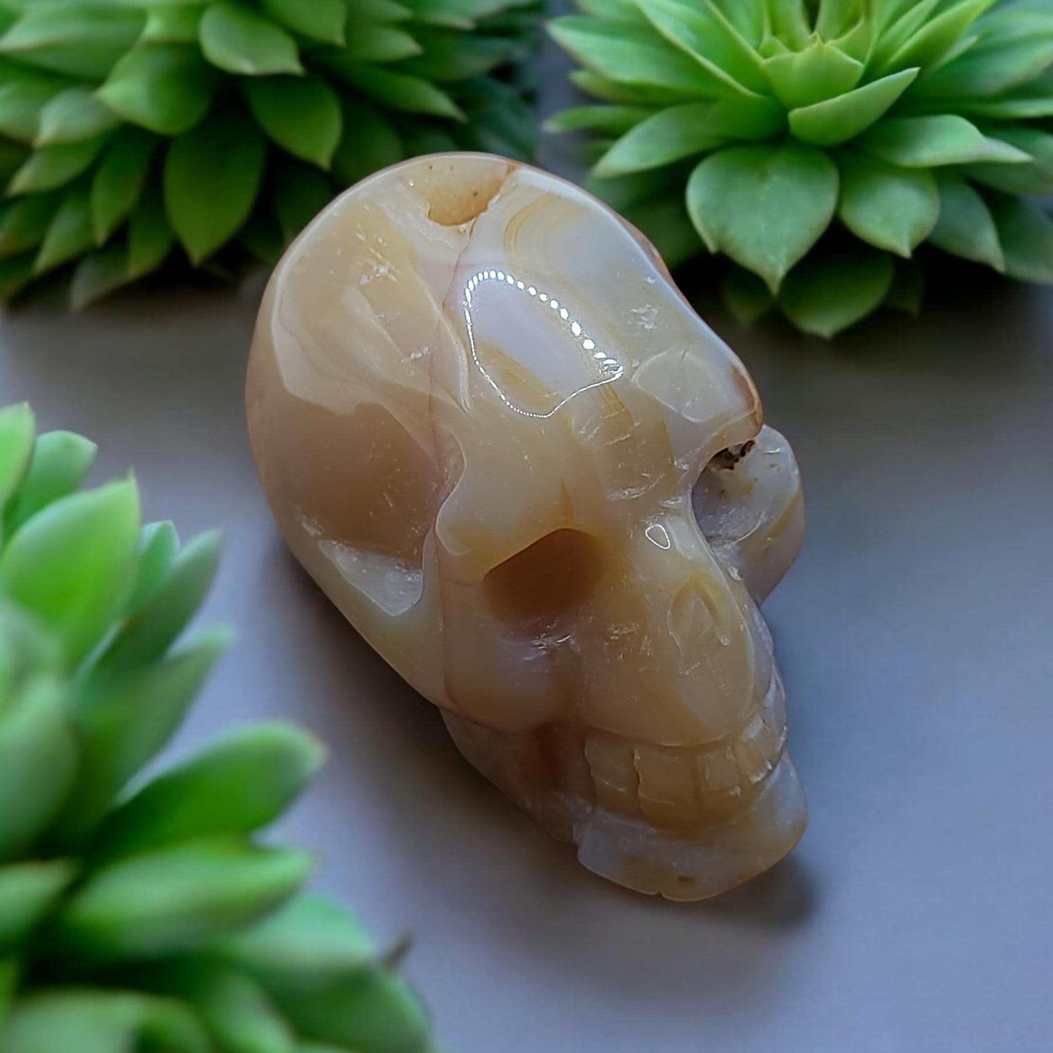 Flower Agate Crystal Skull Carving  Polished Unique Collector Piece  Witchy Home Decor