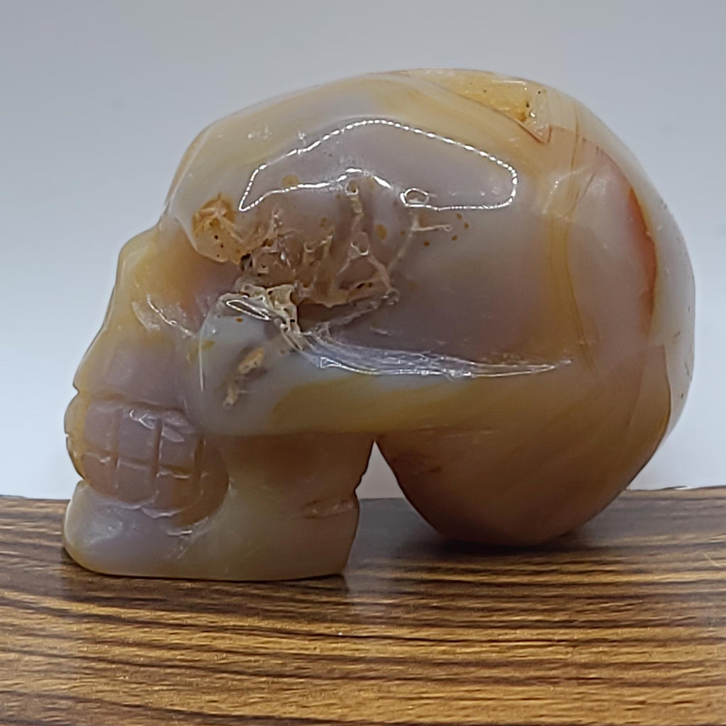 Flower Agate Crystal Skull Carving  Polished Unique Collector Piece  Witchy Home Decor