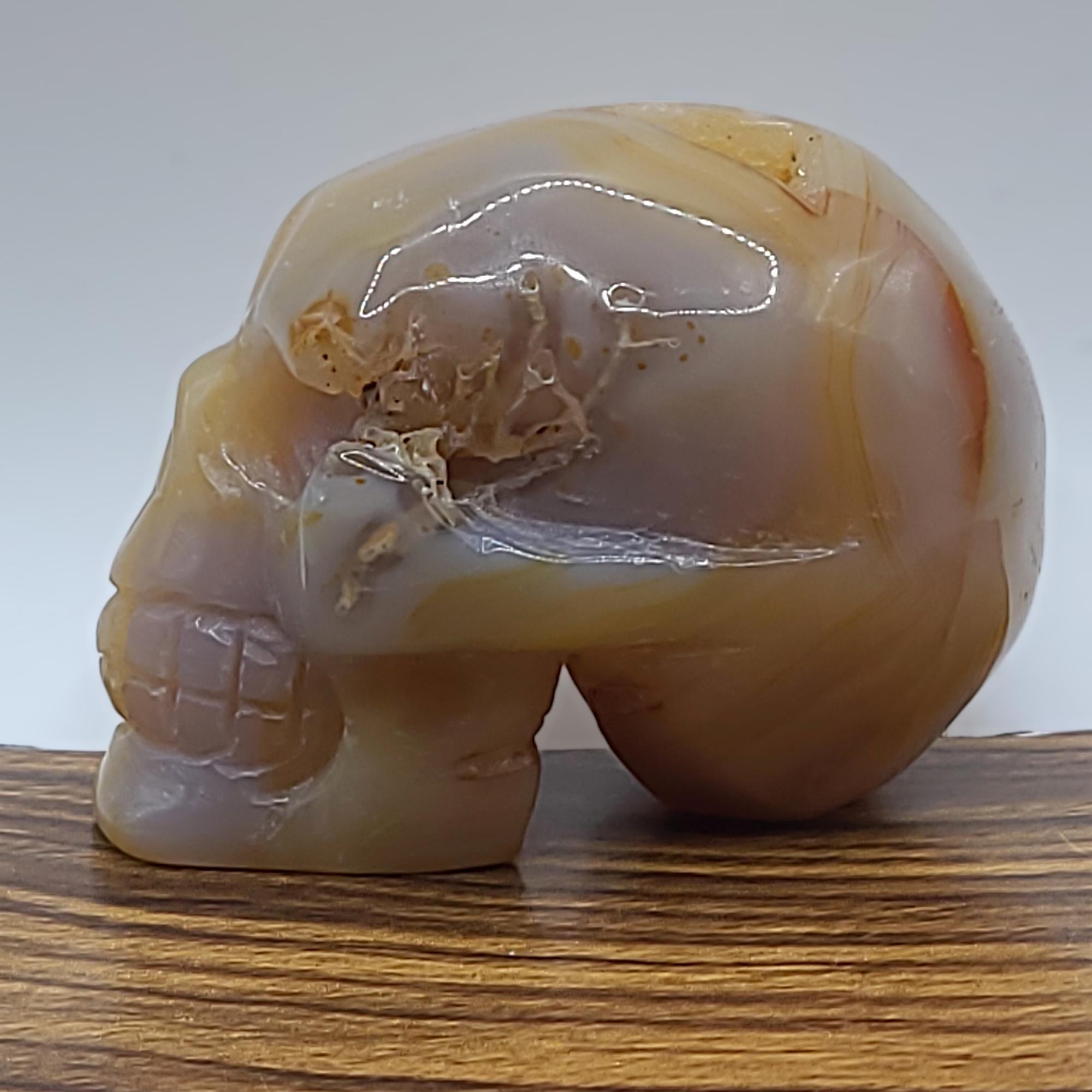 Flower Agate Crystal Skull Carving  Polished Unique Collector Piece  Witchy Home Decor