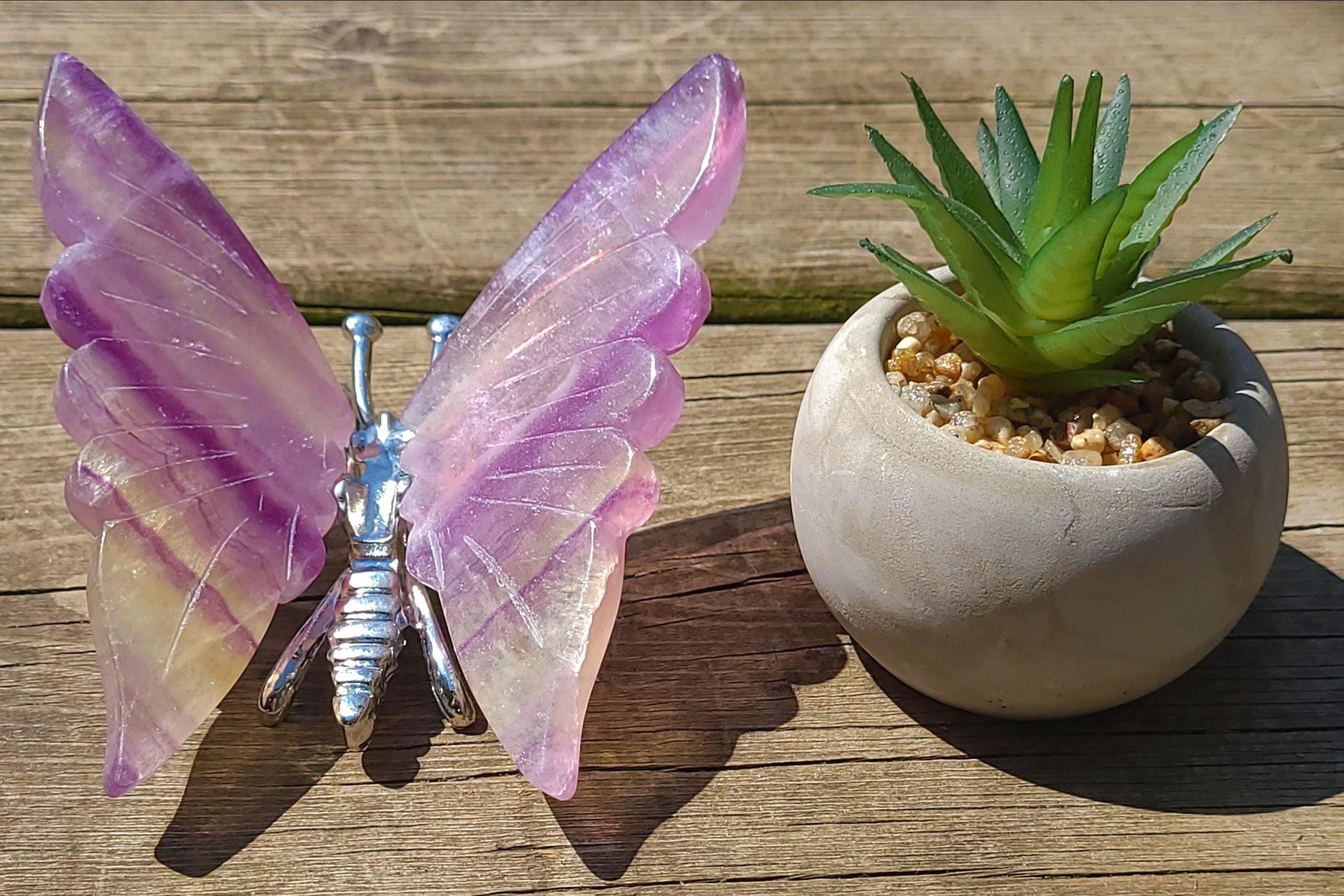 Rainbow Fluorite Butterfly | Crystal Carving, Transformation & Mental Clarity, Desk Decor, Spiritual Gift