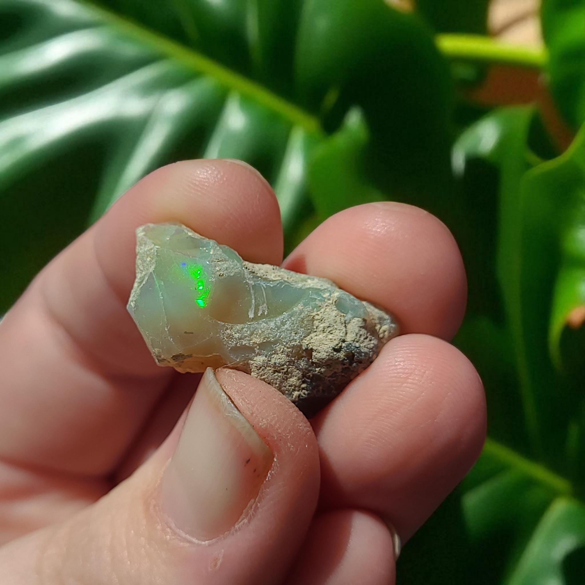 Raw Fire Opal #2: From welo, Ethiopia