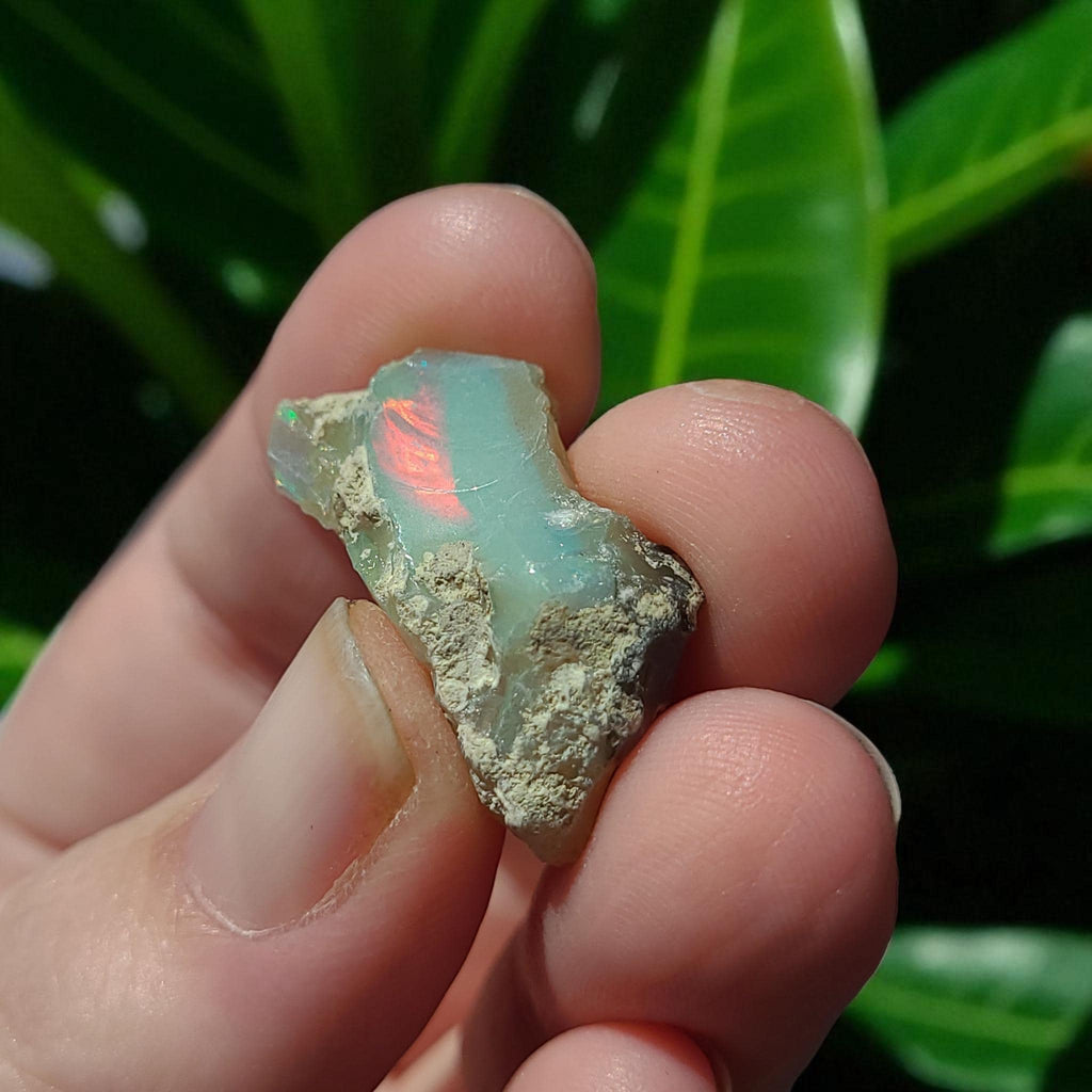 Raw Fire Opal #2: From welo, Ethiopia
