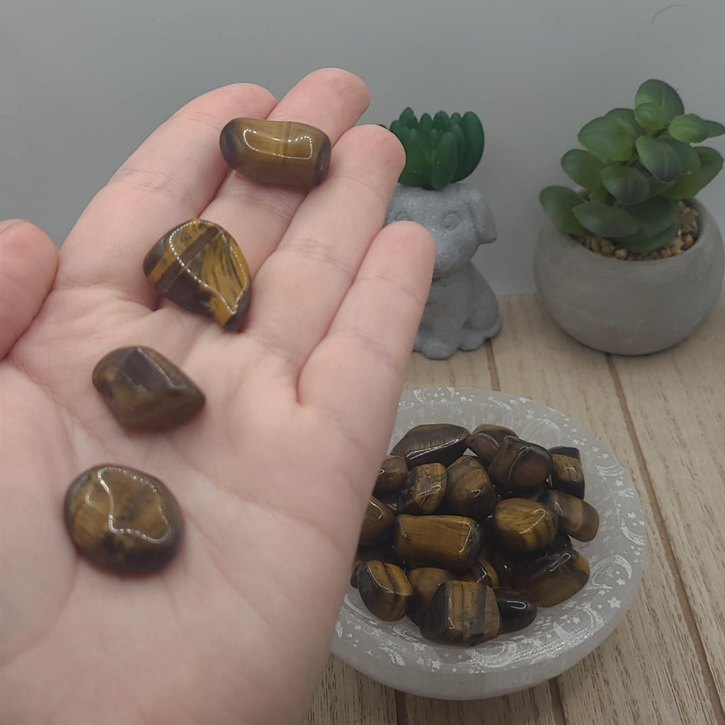 Tigers Eye Tumbled Stones | Confidence, Courage, and Protection Crystal | Meditation Stone