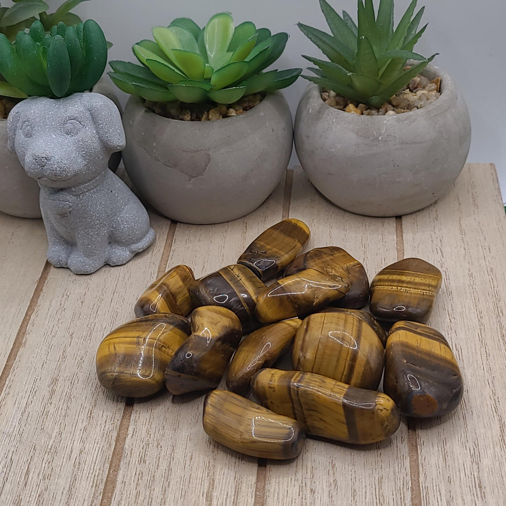 Tigers Eye Tumbled Stones | Confidence, Courage, and Protection Crystal | Meditation Stone