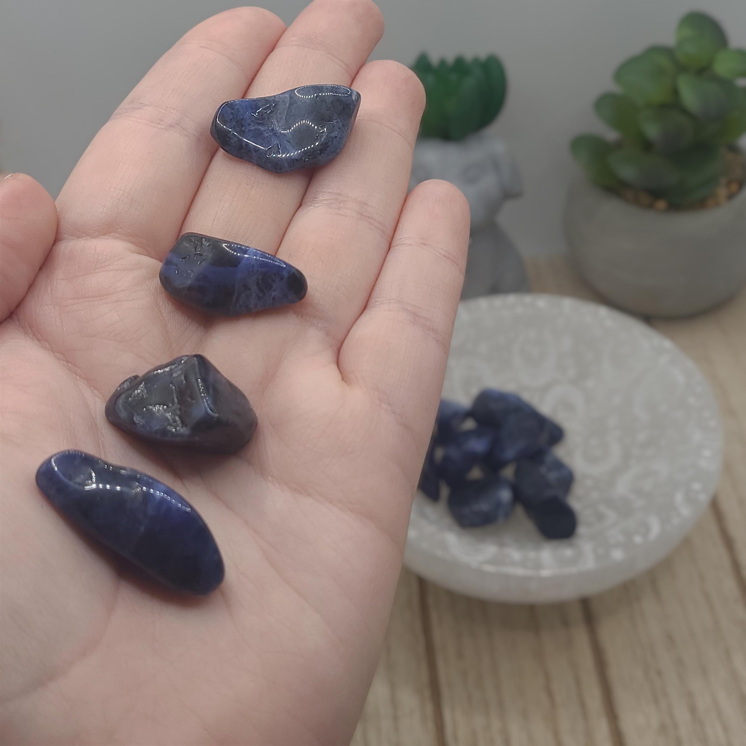 Medium Sodalite Tumbled Stones - Chakra Healing Energy Stones