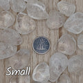 Clear Quartz Tumbled Stones | Energy Amplifying and Healing Crystal | Meditation Stone