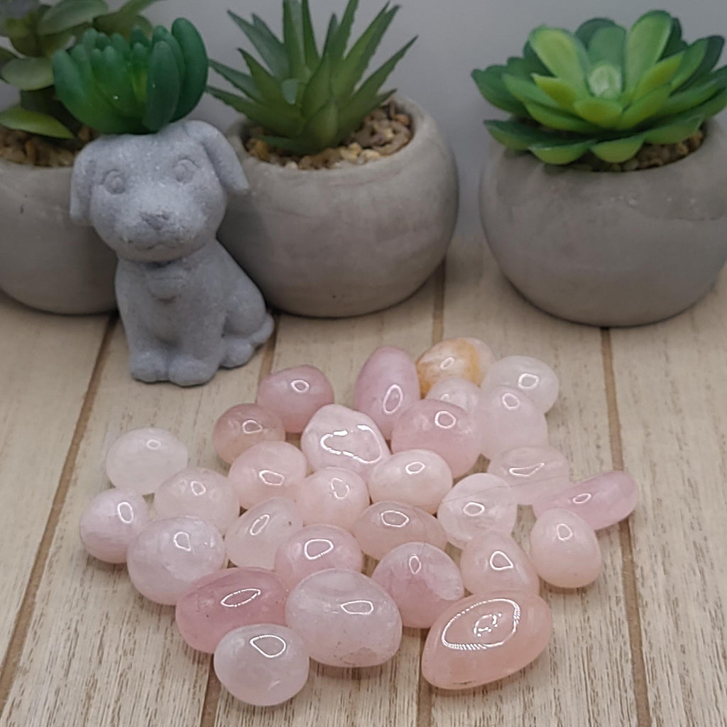 Rose Quartz Tumbled Stones | Love, Compassion, and Emotional Healing Crystal | Meditation Stone