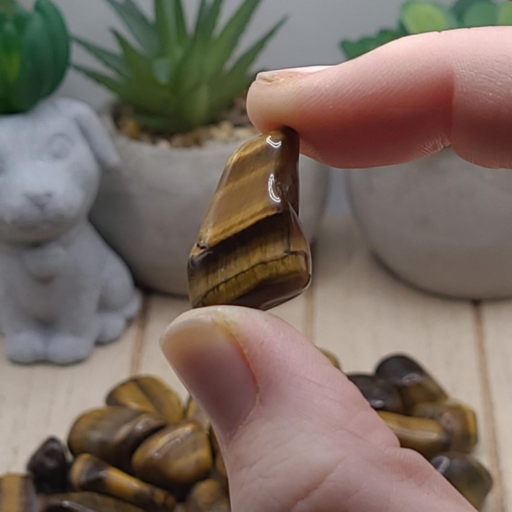 Tigers Eye Tumbled Stones | Confidence, Courage, and Protection Crystal | Meditation Stone