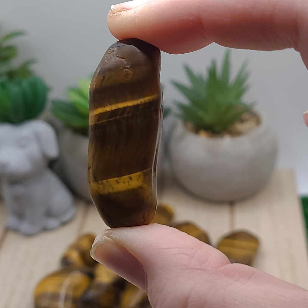 Tigers Eye Tumbled Stones | Confidence, Courage, and Protection Crystal | Meditation Stone