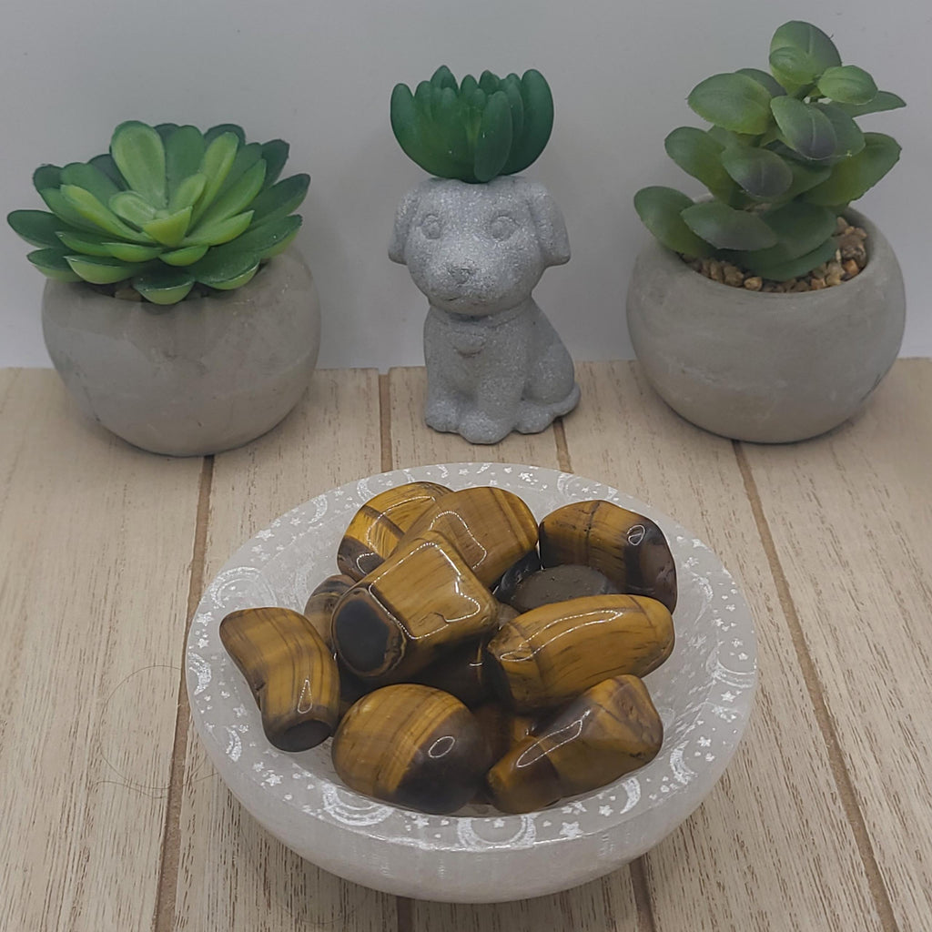 Tigers Eye Tumbled Stones | Confidence, Courage, and Protection Crystal | Meditation Stone