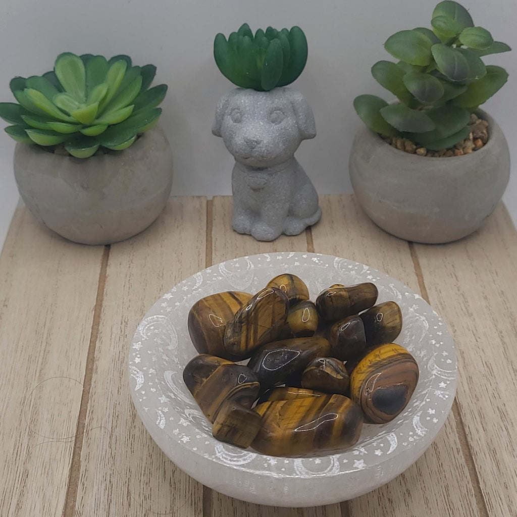 Tigers Eye Tumbled Stones | Confidence, Courage, and Protection Crystal | Meditation Stone