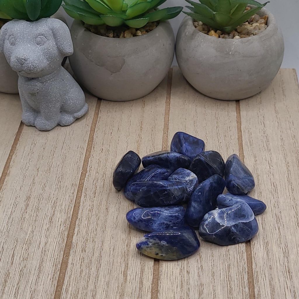 Medium Sodalite Tumbled Stones - Chakra Healing Energy Stones