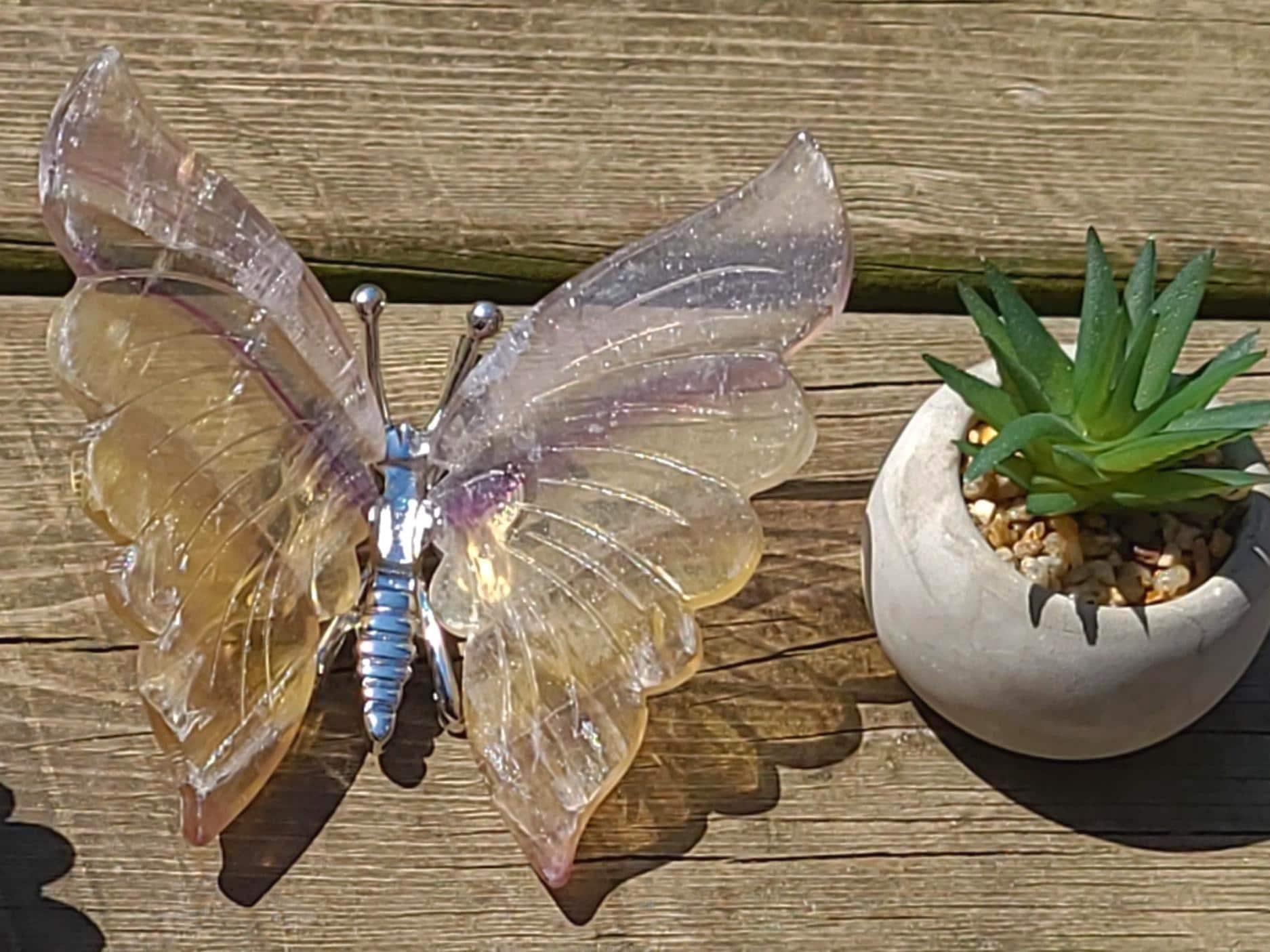 Rainbow Fluorite Butterfly: Yellow